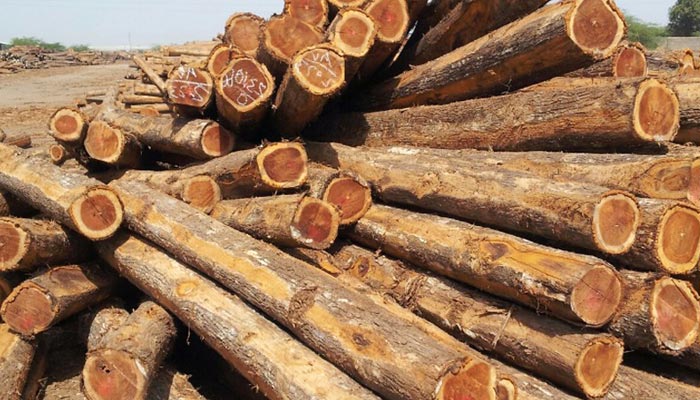 Acacia Wood