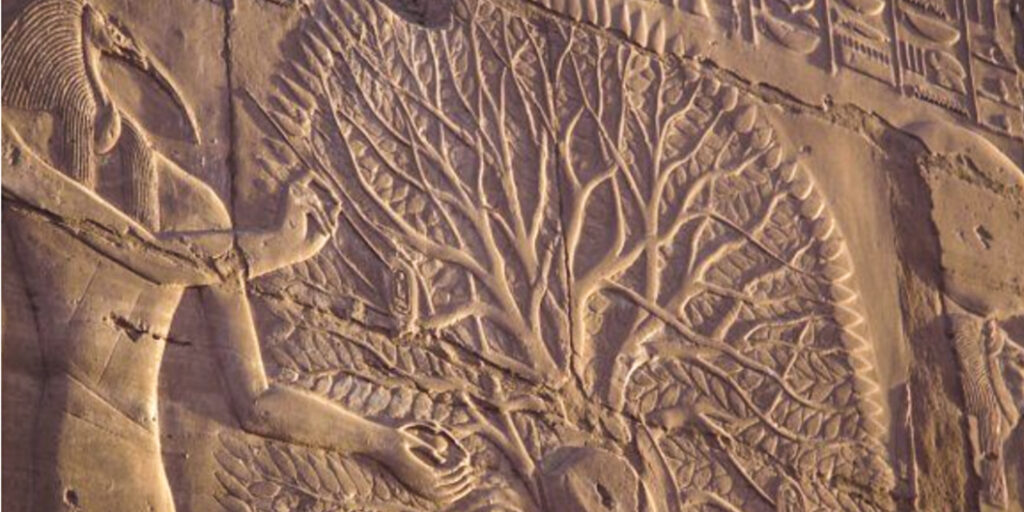 Ancient Acacia Artifacts
