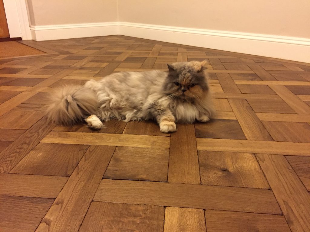 Basketweave Parquet
