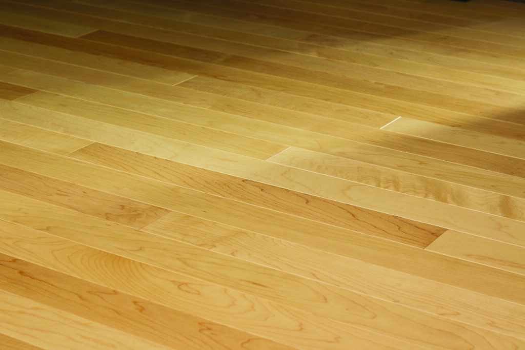 Close-up of Maple Parquet