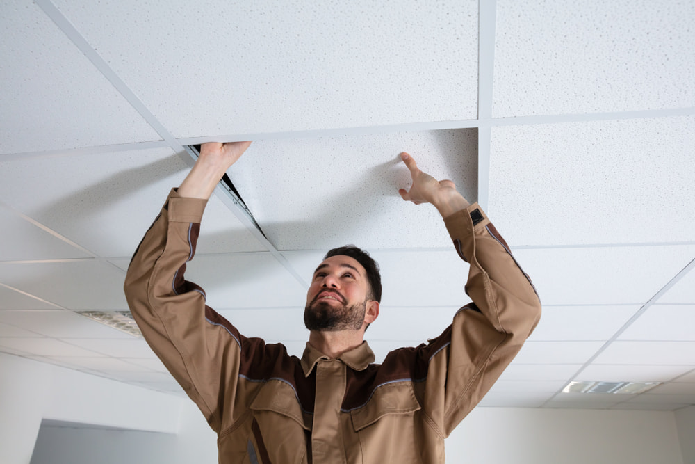 Maintenance of Acoustic Panels