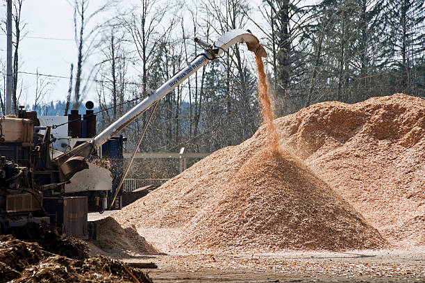 Sawdust pile