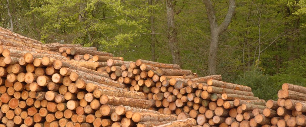 Sustainable Timber