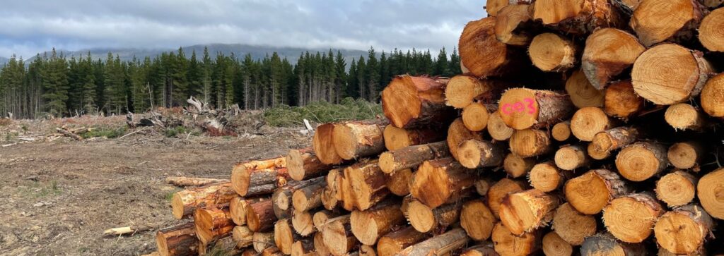 Sustainable Timber
