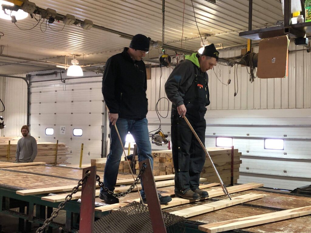 Timber Grading Process
