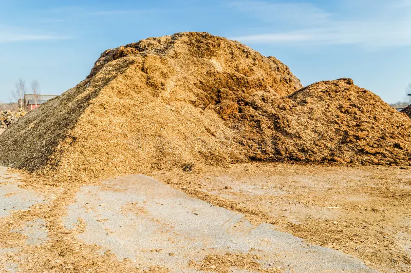 Wood Chips in a Pile
