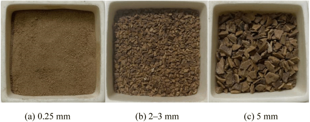 crushed walnut shells in different sizes