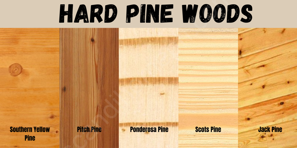 Various types of pine wood