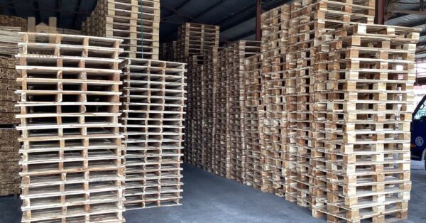 Buy Eco-Friendly Pallets online