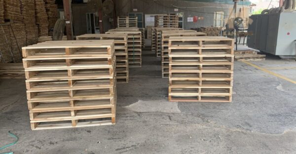 Buy Eco-Friendly Pallets online