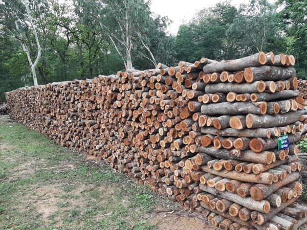 Buy Fuelwood firewood Logs for sale online