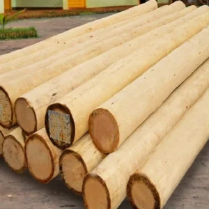 Buy Peeling Logs wood timber for sale online