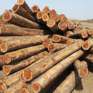 Buy Redwood wood Timber logs for sale