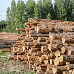 Buy Scots pine Logs for sale online