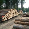 Buy Scots pine Logs online 2