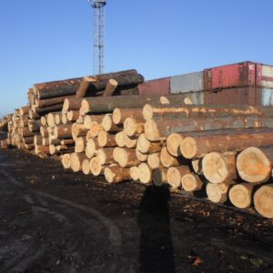 Buy cedar wood logs for sale online