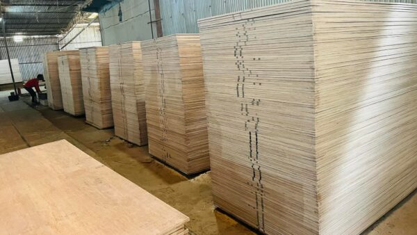 Buy commercial plywood online