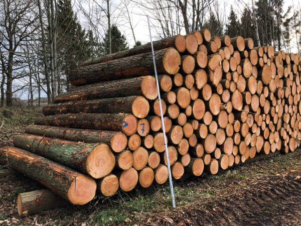 Buy douglas fir wood logs for sale online