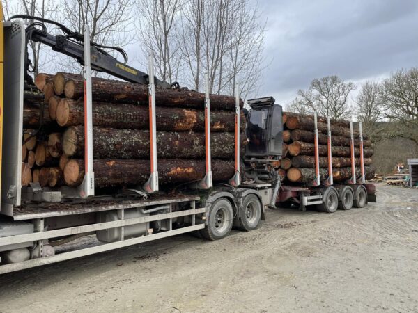 Buy douglas fir wood logs for sale online