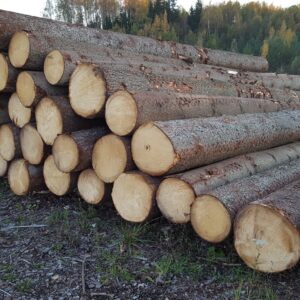 Buy douglas fir wood logs for sale online
