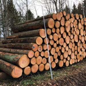 Buy fir wood logs for sale online