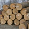 Buy maple wood logs Online