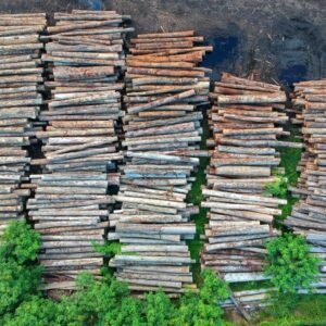 Buy merbau wood logs for sale