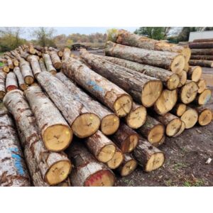 Buy oak wood logs for sale