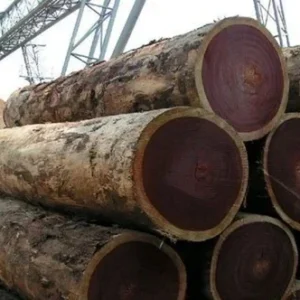 Buy rosewood wood logs for sale