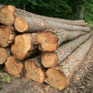 Buy teak wood logs for sale online