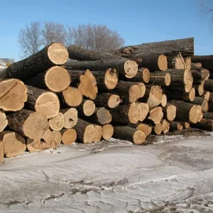 Buy walnut wood logs for sale