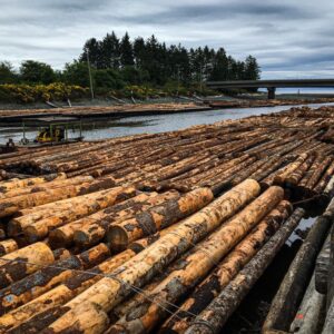 Buy western red cedar logs for sale online