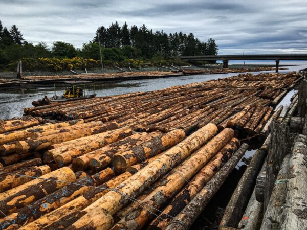 Buy western red cedar logs for sale online