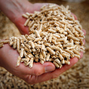 Buy wood pellets Online