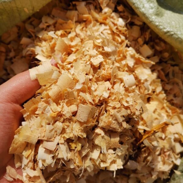 Buy wood shavings Online