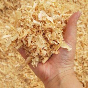 Buy wood shavings Online