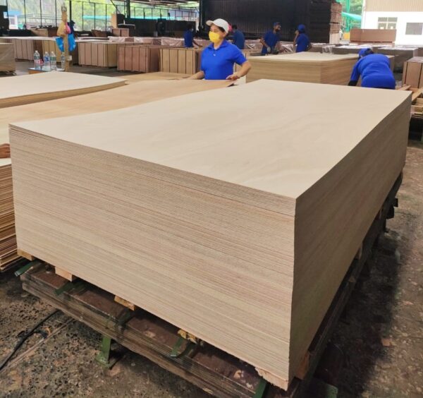 Hardwood Plywood