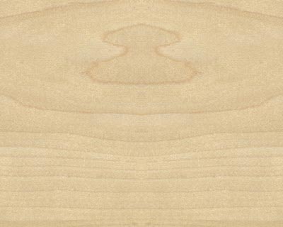 White maple