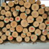 maple wood logs Online