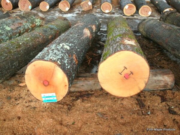 maple wood logs Online