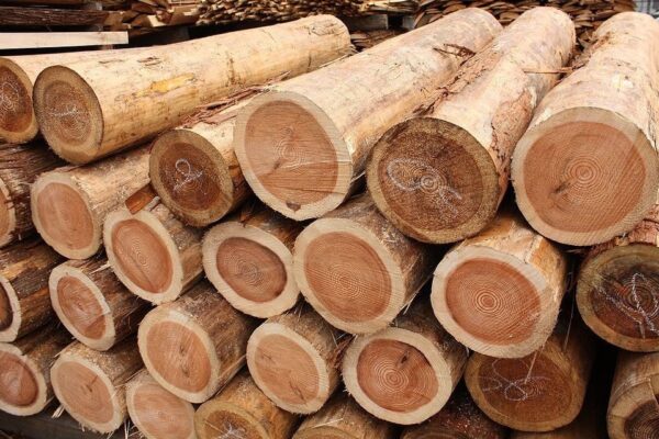red cedar wood logs