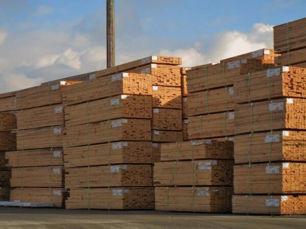 beech lumber​